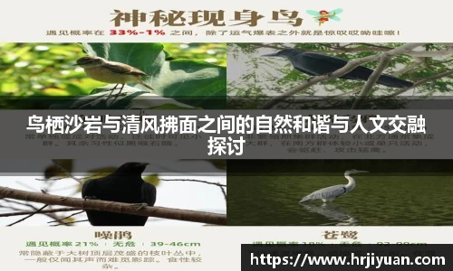 ballbet贝博艾弗森官网